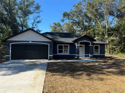 New construction Single-Family house 14 Guava Terrace Trace, Ocklawaha, FL 32179 - photo 0