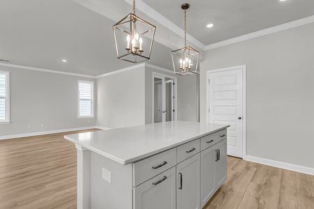 New construction Single-Family house 217 Crosswick St, Summerville, SC 29483 plan Dabney - image 12