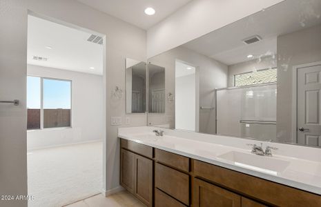 New construction Single-Family house 1269 W Treasure Trl, Apache Junction, AZ 85120 Rimini- photo 19 19