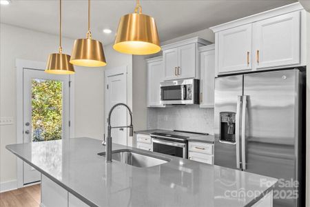 New construction Townhouse house 51 Moon Haven Wy, Arden, NC 28704 plan Litchfield - image 6