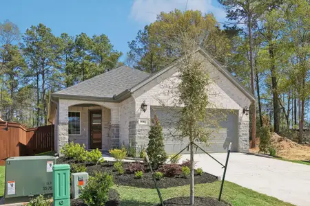New construction Single-Family house 30310 Ruby Forest Ct, Magnolia, TX 77354 plan 3029 Elevation B - image