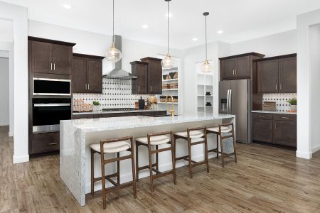 New construction Single-Family house 26113 N 147Th Dr, Surprise, AZ 85387 plan Blush - image 8