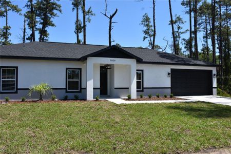 New construction Single-Family house 20150 Willow Cir, Mount Dora, FL 32757 - image