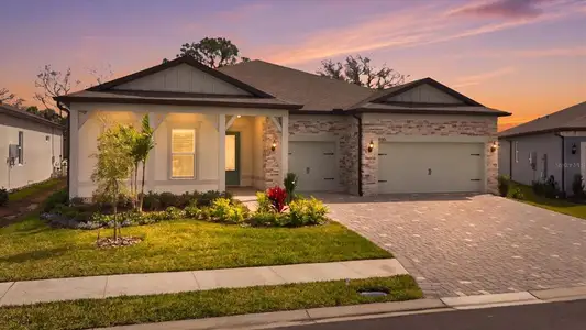 New construction Single-Family house 9213 Sand Dune Cv, Parrish, FL 34219 - image