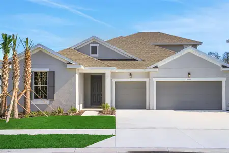New construction Single-Family house 17527 Valleywood Pkwy, Land O' Lakes, FL 34638 plan Arlington - image