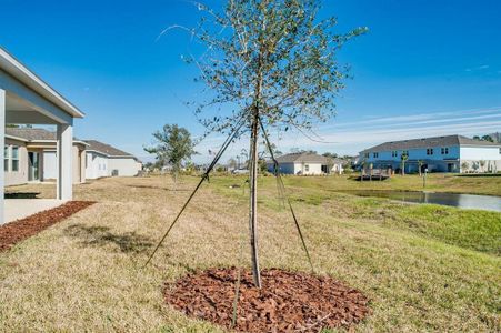 New construction Single-Family house 142 Jones Fish Camp Rd, Edgewater, FL 32141 Magnolia- photo 30 30