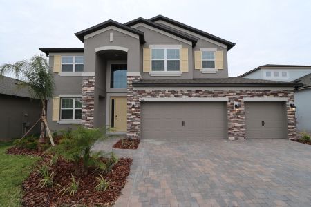 New construction Single-Family house 5046 Bromeliad Ave, Wimauma, FL 33598 Mira Lago- photo 41 41