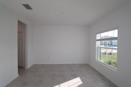 New construction Single-Family house 12176 Hilltop Farms Dr, Dade City, FL 33525 Malibu- photo 178 178