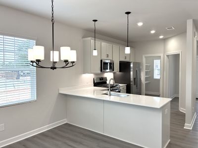 New construction Single-Family house 121 Rock Cress Trl, Greenville, SC 29607 plan The Princeton A - image 8