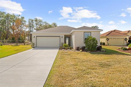New construction Single-Family house 9316 Gentle Ben Ct, Weeki Wachee, FL 34613 - image