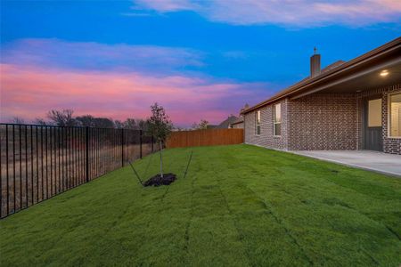 New construction Single-Family house 15116 Devonne Dr, Aledo, TX 76008 San Saba III- photo 33 33