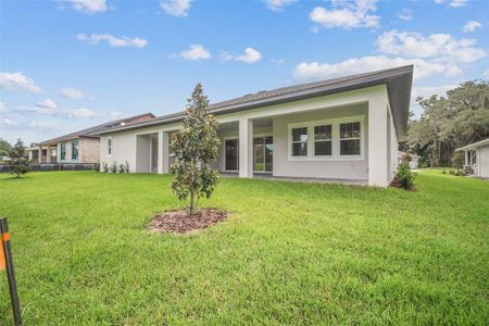 New construction Single-Family house 19395 Sheltered Hill Dr, Brooksville, FL 34601 Sawgrass- photo 54 54