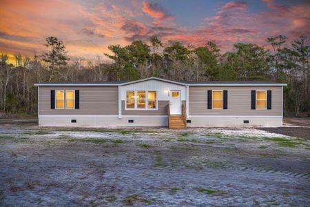 New construction Mobile Home house 7100 Rehoboth Rd, Cottageville, SC 29435 - image
