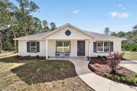 New construction Single-Family house 25 Fisher Way Trak, Ocklawaha, FL 32179 - image