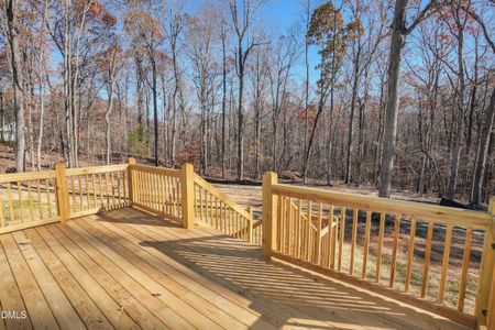 New construction Single-Family house 5430 Bass Mountain Rd, Snow Camp, NC 27349 - image