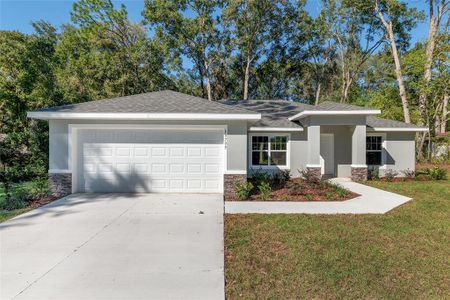 New construction Single-Family house 9776 Sw 196Th Cir, Dunnellon, FL 34432 - image