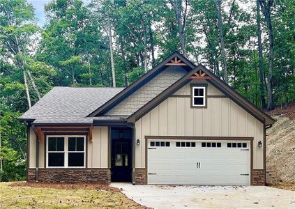 New construction Single-Family house 149 White Antelope St, Waleska, GA 30183 - image