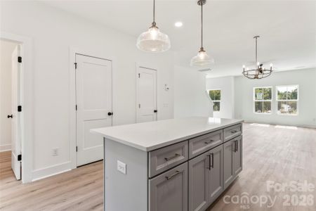 New construction Townhouse house 309 Yaupon Ct, Fort Mill, SC 29708 - image 5