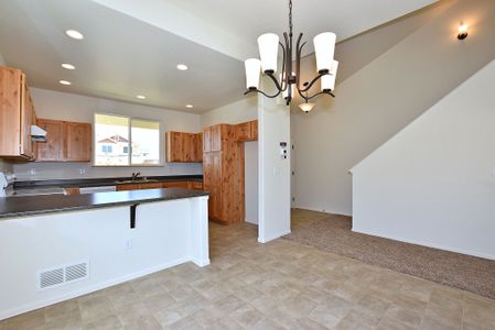 New construction Single-Family house 437 Vivid Ln, Windsor, CO 80550 null- photo 13 13