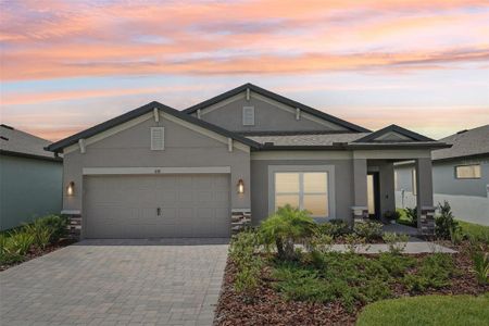 New construction Single-Family house 810 Hillshire Pl, Spring Hill, FL 34609 Picasso- photo 0