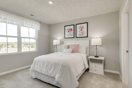 New construction Single-Family house 224 Rosewood Dr, Sanford, NC 27330 Elder- photo 16 16