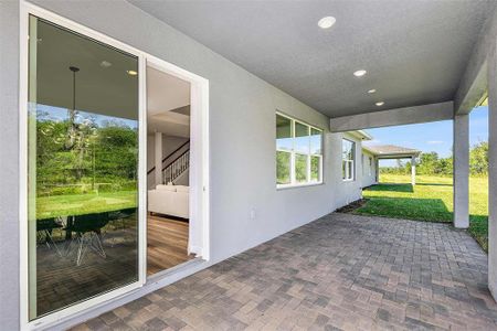 New construction Single-Family house 5257 Foothills Preserve Loop, Mount Dora, FL 32757 Whitestone- photo 19 19