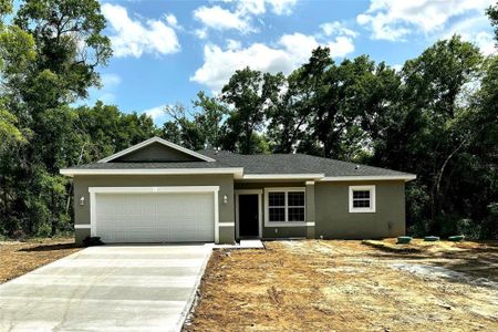 New construction Single-Family house 8092 N Maltese Drive, Citrus Springs, FL 34433 - photo 0