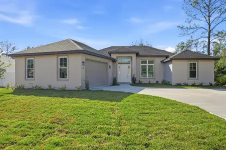 New construction Single-Family house 16 Pierce Ln, Palm Coast, FL 32164 - image