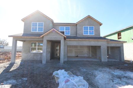 New construction Single-Family house 20264 Oriana Loop, Land O' Lakes, FL 34638 Santa Monica- photo 90 90