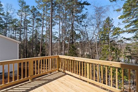 New construction Single-Family house 2204 Hillcrest Ave, Albemarle, NC 28001 null- photo 35 35