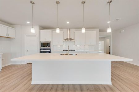 New construction Single-Family house 2036 Burriana Ct, Little Elm, TX 75068 Vienna- photo 6 6