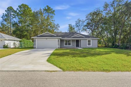New construction Single-Family house 274 W Bolero Pl, Citrus Springs, FL 34434 - image