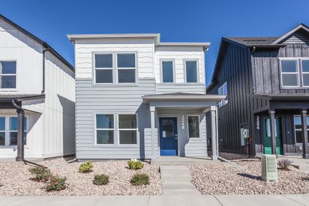 New construction Single-Family house 3248 Crusader St, Fort Collins, CO 80524 plan Sage - image