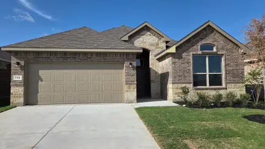 New construction Single-Family house 732 Rubicon Rd, Fort Worth, TX 76247 plan Portales - image