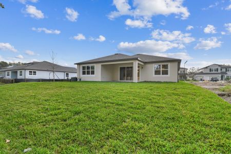 New construction Single-Family house 20219 Oriana Loop, Land O' Lakes, FL 34638 Corina  III- photo 167 167