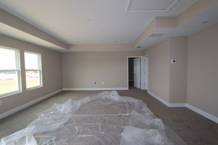 New construction Single-Family house 38357 Palomino Dr, Dade City, FL 33525 Picasso Bonus- photo 27 27