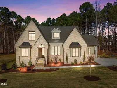 New construction Single-Family house 1117 Delilia Ln, Wake Forest, NC 27587 - image