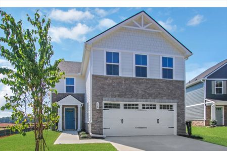 New construction Single-Family house 120 Acer Ct, Hampton, GA 30228 plan Lily - image