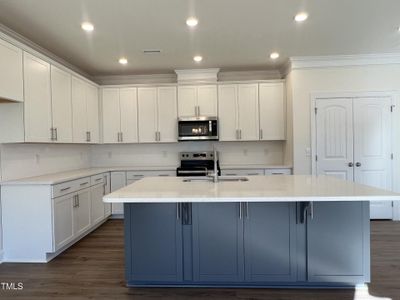 New construction Single-Family house 193 Highview Dr, Benson, NC 27504 Ellerbe- photo 3 3