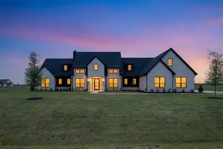 New construction Single-Family house 133 Liv Meadow Wy, Waxahachie, TX 75165 - image