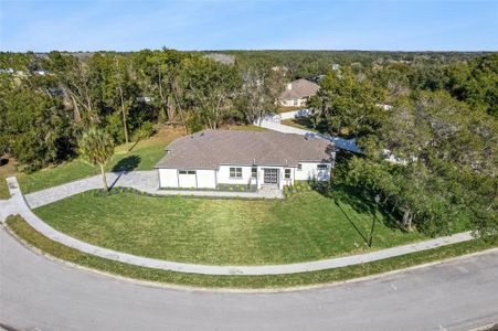 New construction Single-Family house 9531 Mid Summer Ln, Leesburg, FL 34788 - image