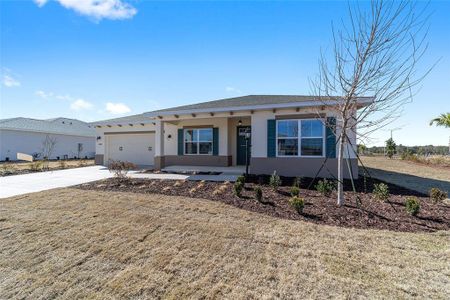 New construction Single-Family house 10668 Sw 101St Ln, Ocala, FL 34481 - image