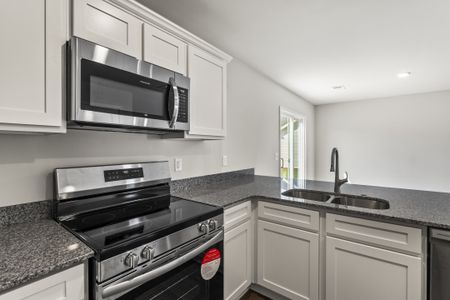 New construction Single-Family house 2416 Daylily St, Unit (154), Sumter, SC 29153 plan Poplar A - image 4