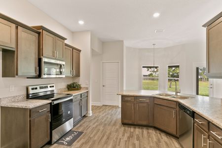 New construction Single-Family house 14152 Spring Hill Dr, Spring Hill, FL 34609 null- photo 31 31