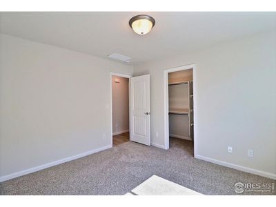 New construction Single-Family house 4306 Primrose Ln, Evans, CO 80620 - image 19