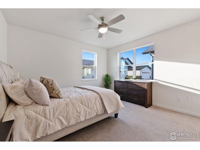 New construction Single-Family house 3425 Green Lake Dr Ft, Fort Collins, CO 80524 - image 8
