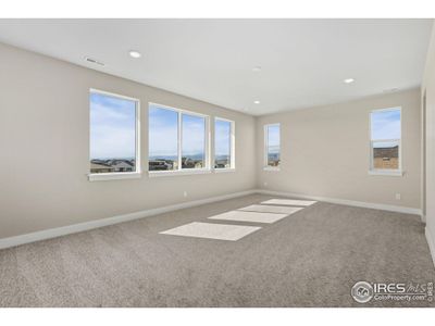 New construction Single-Family house 5795 Gianna Dr, Timnath, CO 80547 plan 3 - image 14