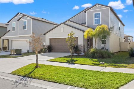 New construction Single-Family house 22312 Pleasant Morning Dr, Land O' Lakes, FL 34637 plan Columbia - image