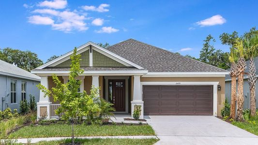 New construction Single-Family house Palmetto, FL 34221 null- photo 5 5