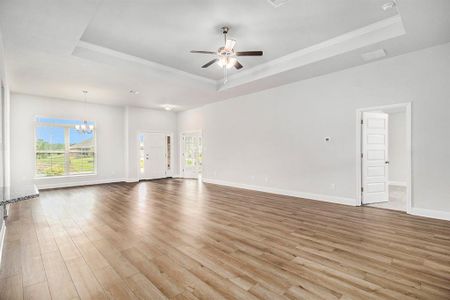 Living Areas with Tray Ceiling